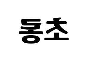 KPOP Apink(에이핑크、エーピンク) 박초롱 (パク・チョロン) コンサート用　応援ボード・うちわ　韓国語/ハングル文字型紙 左右反転