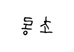KPOP Apink(에이핑크、エーピンク) 박초롱 (パク・チョロン) 名前 応援ボード 作り方 左右反転