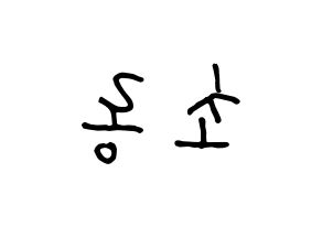 KPOP Apink(에이핑크、エーピンク) 박초롱 (パク・チョロン) k-pop 応援ボード メッセージ 型紙 左右反転