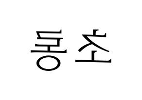 KPOP Apink(에이핑크、エーピンク) 박초롱 (パク・チョロン) 応援ボード・うちわ　韓国語/ハングル文字型紙 左右反転