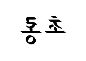 KPOP Apink(에이핑크、エーピンク) 박초롱 (パク・チョロン) 応援ボード ハングル 型紙  左右反転
