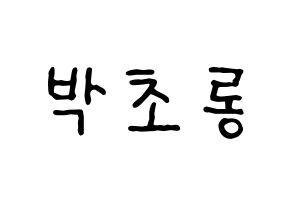 KPOP Apink(에이핑크、エーピンク) 박초롱 (パク・チョロン) k-pop アイドル名前 ファンサボード 型紙 通常