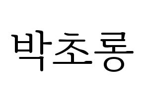 KPOP Apink(에이핑크、エーピンク) 박초롱 (パク・チョロン) 応援ボード・うちわ　韓国語/ハングル文字型紙 通常