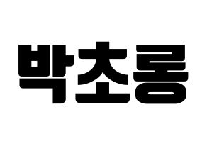 KPOP Apink(에이핑크、エーピンク) 박초롱 (パク・チョロン) コンサート用　応援ボード・うちわ　韓国語/ハングル文字型紙 通常