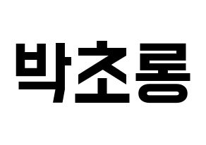 KPOP Apink(에이핑크、エーピンク) 박초롱 (パク・チョロン) 名前 応援ボード 作り方 通常