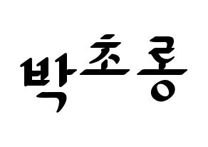 KPOP Apink(에이핑크、エーピンク) 박초롱 (パク・チョロン) 応援ボード ハングル 型紙  通常