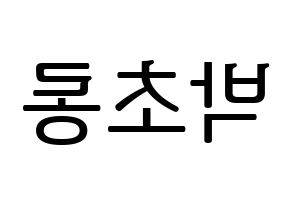 KPOP Apink(에이핑크、エーピンク) 박초롱 (パク・チョロン) プリント用応援ボード型紙、うちわ型紙　韓国語/ハングル文字型紙 左右反転