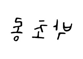 KPOP Apink(에이핑크、エーピンク) 박초롱 (パク・チョロン) 応援ボード ハングル 型紙  左右反転