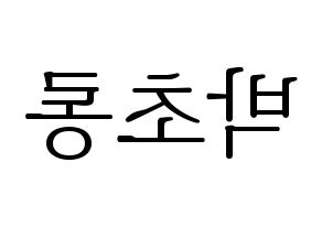 KPOP Apink(에이핑크、エーピンク) 박초롱 (パク・チョロン) 応援ボード・うちわ　韓国語/ハングル文字型紙 左右反転