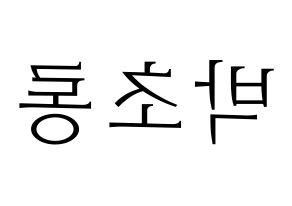 KPOP Apink(에이핑크、エーピンク) 박초롱 (パク・チョロン) 応援ボード・うちわ　韓国語/ハングル文字型紙 左右反転