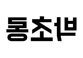 KPOP Apink(에이핑크、エーピンク) 박초롱 (パク・チョロン) 名前 応援ボード 作り方 左右反転