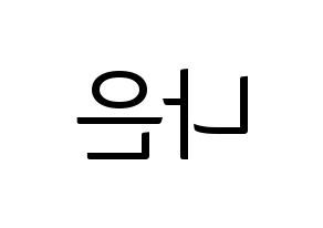 KPOP Apink(에이핑크、エーピンク) 손나은 (ソン・ナウン) コンサート用　応援ボード・うちわ　韓国語/ハングル文字型紙 左右反転