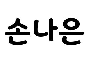 KPOP Apink(에이핑크、エーピンク) 손나은 (ソン・ナウン) 応援ボード・うちわ　韓国語/ハングル文字型紙 通常