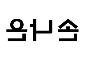 KPOP Apink(에이핑크、エーピンク) 손나은 (ソン・ナウン, ソン・ナウン) 応援ボード、うちわ無料型紙、応援グッズ 左右反転