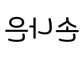 KPOP Apink(에이핑크、エーピンク) 손나은 (ソン・ナウン, ソン・ナウン) 無料サイン会用、イベント会用応援ボード型紙 左右反転