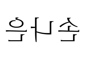 KPOP Apink(에이핑크、エーピンク) 손나은 (ソン・ナウン) 応援ボード・うちわ　韓国語/ハングル文字型紙 左右反転