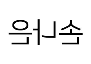 KPOP Apink(에이핑크、エーピンク) 손나은 (ソン・ナウン) プリント用応援ボード型紙、うちわ型紙　韓国語/ハングル文字型紙 左右反転