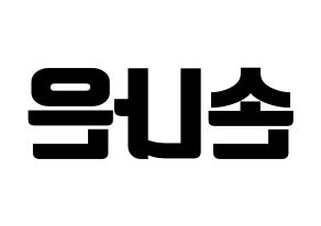 KPOP Apink(에이핑크、エーピンク) 손나은 (ソン・ナウン) コンサート用　応援ボード・うちわ　韓国語/ハングル文字型紙 左右反転