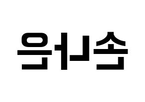 KPOP Apink(에이핑크、エーピンク) 손나은 (ソン・ナウン) k-pop アイドル名前 ファンサボード 型紙 左右反転