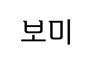KPOP Apink(에이핑크、エーピンク) 윤보미 (ユン・ボミ) プリント用応援ボード型紙、うちわ型紙　韓国語/ハングル文字型紙 通常