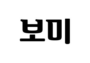 KPOP Apink(에이핑크、エーピンク) 윤보미 (ユン・ボミ) コンサート用　応援ボード・うちわ　韓国語/ハングル文字型紙 通常