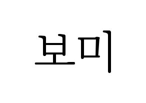 KPOP Apink(에이핑크、エーピンク) 윤보미 (ユン・ボミ) 応援ボード・うちわ　韓国語/ハングル文字型紙 通常