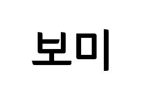 KPOP Apink(에이핑크、エーピンク) 윤보미 (ユン・ボミ) k-pop アイドル名前 ファンサボード 型紙 通常