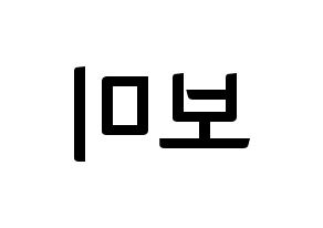 KPOP Apink(에이핑크、エーピンク) 윤보미 (ユン・ボミ) k-pop アイドル名前 ファンサボード 型紙 左右反転