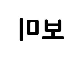 KPOP Apink(에이핑크、エーピンク) 윤보미 (ユン・ボミ, ユン・ボミ) k-pop アイドル名前　ボード 言葉 左右反転