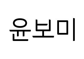KPOP Apink(에이핑크、エーピンク) 윤보미 (ユン・ボミ) コンサート用　応援ボード・うちわ　韓国語/ハングル文字型紙 通常