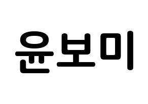 KPOP Apink(에이핑크、エーピンク) 윤보미 (ユン・ボミ, ユン・ボミ) k-pop アイドル名前　ボード 言葉 通常