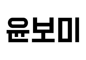 KPOP Apink(에이핑크、エーピンク) 윤보미 (ユン・ボミ) 名前 応援ボード 作り方 通常