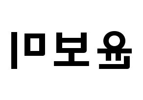 KPOP Apink(에이핑크、エーピンク) 윤보미 (ユン・ボミ, ユン・ボミ) 応援ボード、うちわ無料型紙、応援グッズ 左右反転