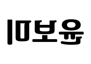 KPOP Apink(에이핑크、エーピンク) 윤보미 (ユン・ボミ) コンサート用　応援ボード・うちわ　韓国語/ハングル文字型紙 左右反転