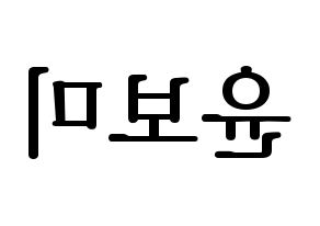 KPOP Apink(에이핑크、エーピンク) 윤보미 (ユン・ボミ) プリント用応援ボード型紙、うちわ型紙　韓国語/ハングル文字型紙 左右反転