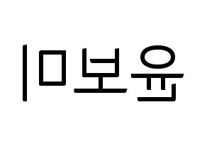 KPOP Apink(에이핑크、エーピンク) 윤보미 (ユン・ボミ) コンサート用　応援ボード・うちわ　韓国語/ハングル文字型紙 左右反転