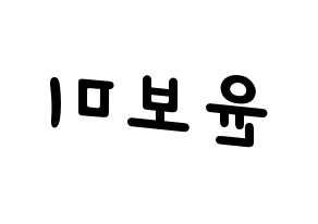 KPOP Apink(에이핑크、エーピンク) 윤보미 (ユン・ボミ) 名前 応援ボード 作り方 左右反転