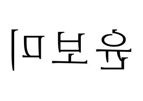 KPOP Apink(에이핑크、エーピンク) 윤보미 (ユン・ボミ) 応援ボード・うちわ　韓国語/ハングル文字型紙 左右反転