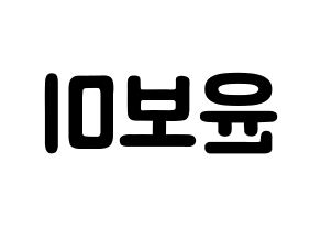 KPOP Apink(에이핑크、エーピンク) 윤보미 (ユン・ボミ, ユン・ボミ) 応援ボード、うちわ無料型紙、応援グッズ 左右反転