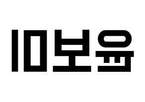 KPOP Apink(에이핑크、エーピンク) 윤보미 (ユン・ボミ) 名前 応援ボード 作り方 左右反転