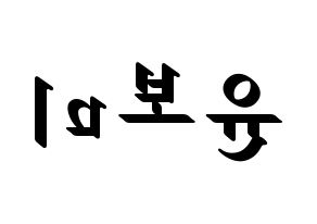 KPOP Apink(에이핑크、エーピンク) 윤보미 (ユン・ボミ) 応援ボード ハングル 型紙  左右反転