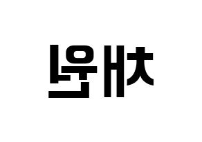 KPOP APRIL(에이프릴、エイプリル) 김채원 (チェウォン) k-pop アイドル名前 ファンサボード 型紙 左右反転