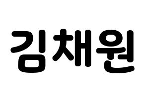 KPOP APRIL(에이프릴、エイプリル) 김채원 (チェウォン) 応援ボード・うちわ　韓国語/ハングル文字型紙 通常