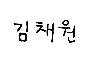 KPOP APRIL(에이프릴、エイプリル) 김채원 (チェウォン) k-pop アイドル名前 ファンサボード 型紙 通常
