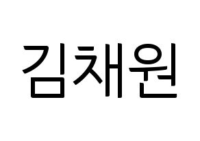 KPOP APRIL(에이프릴、エイプリル) 김채원 (チェウォン) コンサート用　応援ボード・うちわ　韓国語/ハングル文字型紙 通常