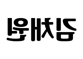 KPOP APRIL(에이프릴、エイプリル) 김채원 (チェウォン) コンサート用　応援ボード・うちわ　韓国語/ハングル文字型紙 左右反転