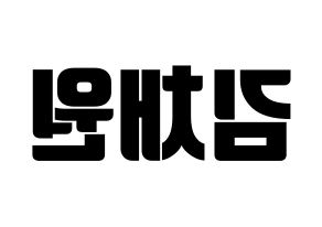 KPOP APRIL(에이프릴、エイプリル) 김채원 (チェウォン) コンサート用　応援ボード・うちわ　韓国語/ハングル文字型紙 左右反転