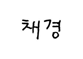 KPOP APRIL(에이프릴、エイプリル) 윤채경 (チェギョン) k-pop アイドル名前 ファンサボード 型紙 通常