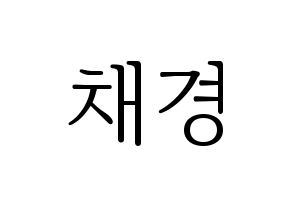 KPOP APRIL(에이프릴、エイプリル) 윤채경 (チェギョン) 応援ボード・うちわ　韓国語/ハングル文字型紙 通常