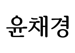 KPOP APRIL(에이프릴、エイプリル) 윤채경 (チェギョン) プリント用応援ボード型紙、うちわ型紙　韓国語/ハングル文字型紙 通常